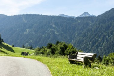 rustik tezgah geçmiş yeşil alan arasında yol
