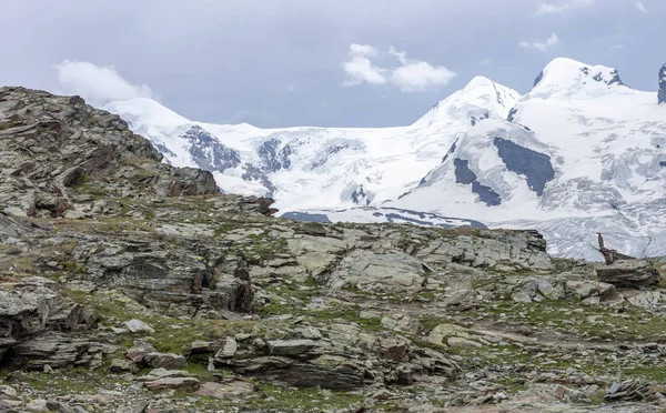 Paisaje de verano con glaciares permanentes Swizerland Alps —  Fotos de Stock