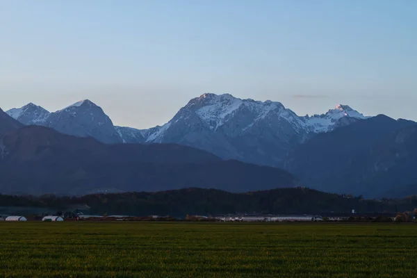 Belle Alpi su campo verde paesaggio serale — Foto Stock