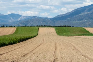 yeşil alan ve köy manzara üzerinde güzel Alpler