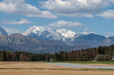 yeşil alan ve köy manzara üzerinde güzel Alpler