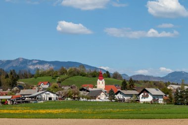 yeşil alan ve köy manzara üzerinde güzel Alpler