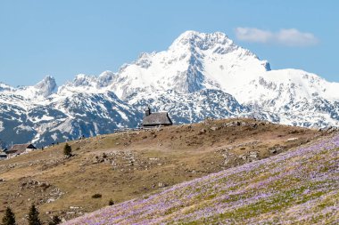 Dağ manzaralı ahşap kilise. Kar zirvesi var.