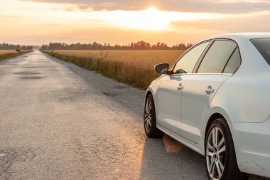 sarı buğday tarlası yanında ülke yolda beyaz araba