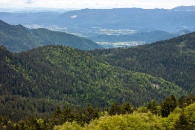 güzel yüksek dağ manzarası Alpler manzarası