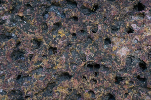 Alte Laterit Stein Muster Die Welpen — Stockfoto