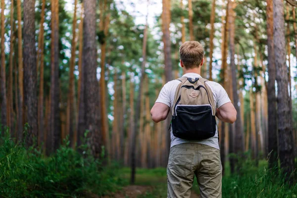 Widok Tyłu Męskiego Turysty Plecakiem Wędrówka Lesie Sosnowym Sztandar Naturalne — Zdjęcie stockowe