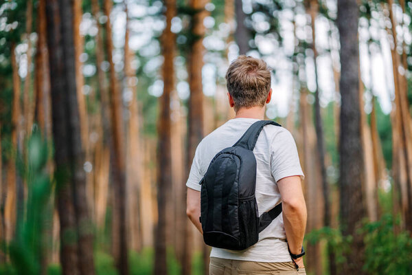 A back view of a male tourist with a backpack Hiking through a pine forest, a banner for a natural camp site and the concept of healthy tourism