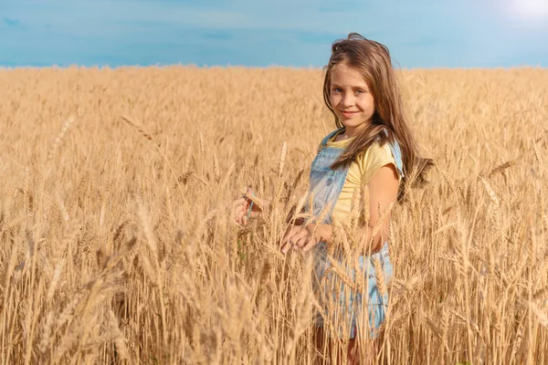 Nettes Kleines Mädchen Das Sommerfeld Des Weizens Spielt — Stockfoto