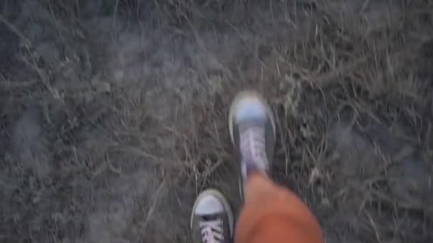 Een Meisje Sneakers Loopt Het Stoffige Gras Video Van Schoenstof — Stockvideo