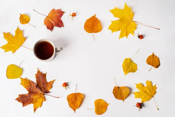 Herbstliche Komposition Rahmen Aus Herbstgelben Und Roten Blättern Mit Einer — Stockfoto