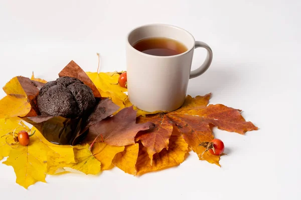 Concept Autumn Home Comfort White Background Copyspace Mug Tea Chocolate — Stock Photo, Image