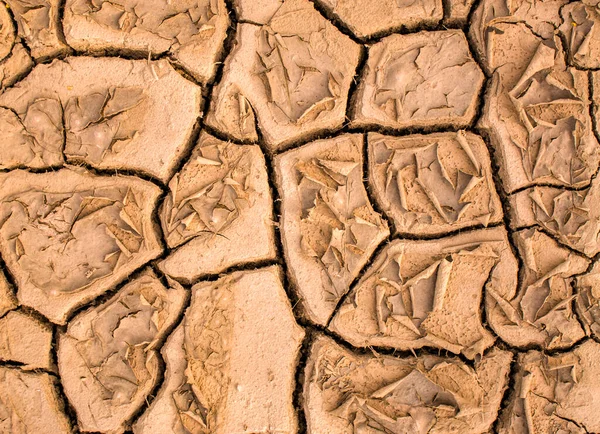Cracked dry earth, dry ground surface, abstract texture background