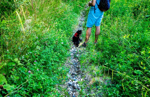 man with a black cat on a leash walking among the lush mountain greenery along the path