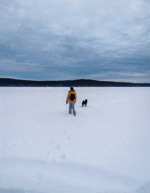 Sarı ceketli genç bir kadın karlı bir gölde gri tüylü bir köpekle oynuyor. Hayvanlarla yürüyorum. Cep telefonu fotoğrafı. Kız köpeği gezdirir. Kış manzarası