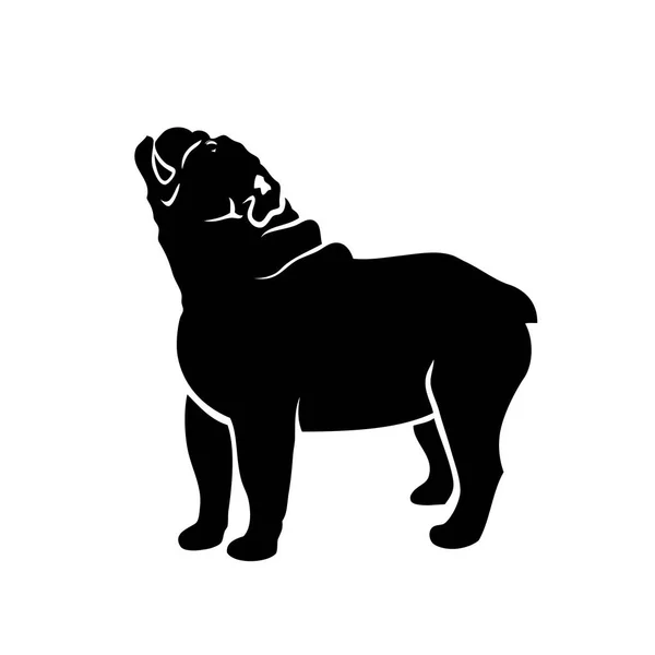 Mops Pies Ilustracja Wektorowa — Wektor stockowy