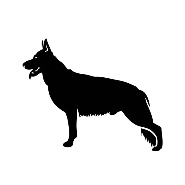 Schäferhund Vektorillustration — Stockvektor