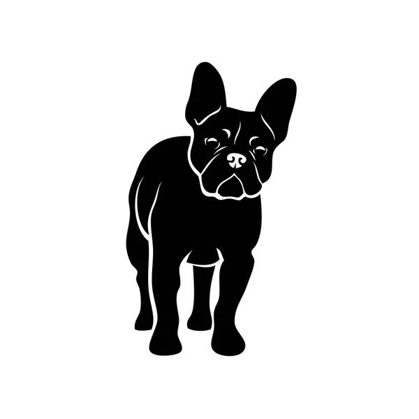 Bouledogue Français Illustration Vectorielle — Image vectorielle