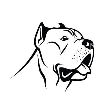 Cane Corso köpek baş - izole vektör çizim