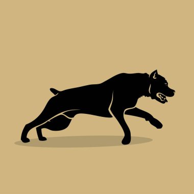 Cane Corso köpek - izole vektör çizim