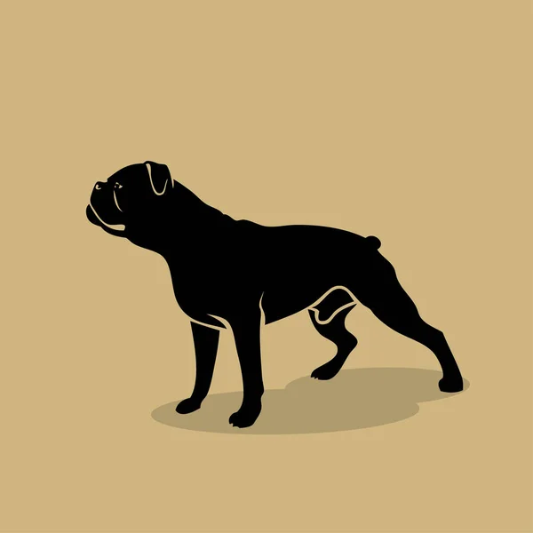 Olde Αγγλικά Bulldogge Εικονογράφηση Διάνυσμα — Διανυσματικό Αρχείο