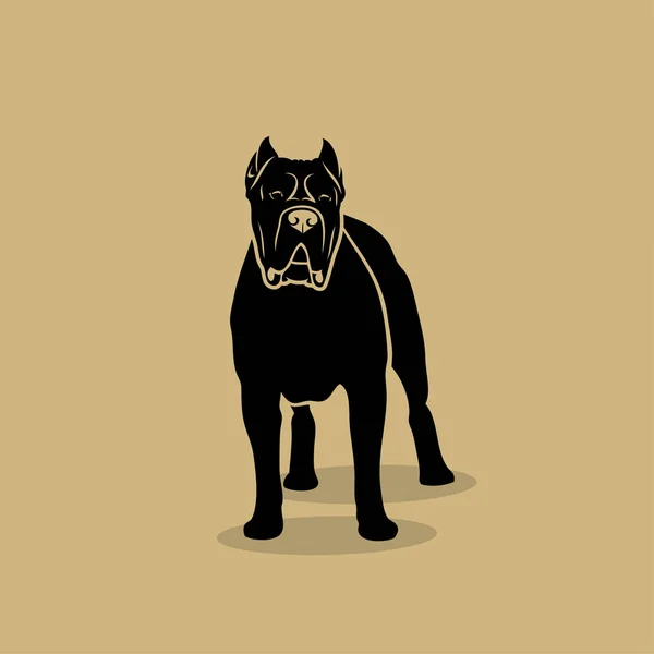 Очерет Корсо Собака Стоячи Ізольовані Векторні Ілюстрації — стоковий вектор