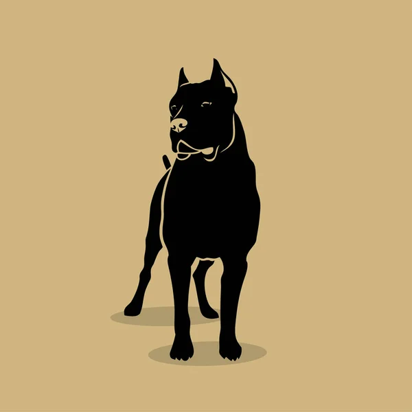 Cane Corso Dog Isolated Vector Illustration — Stock Vector