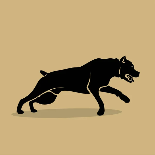 Cane Corso Hond Geïsoleerde Vectorillustratie — Stockvector