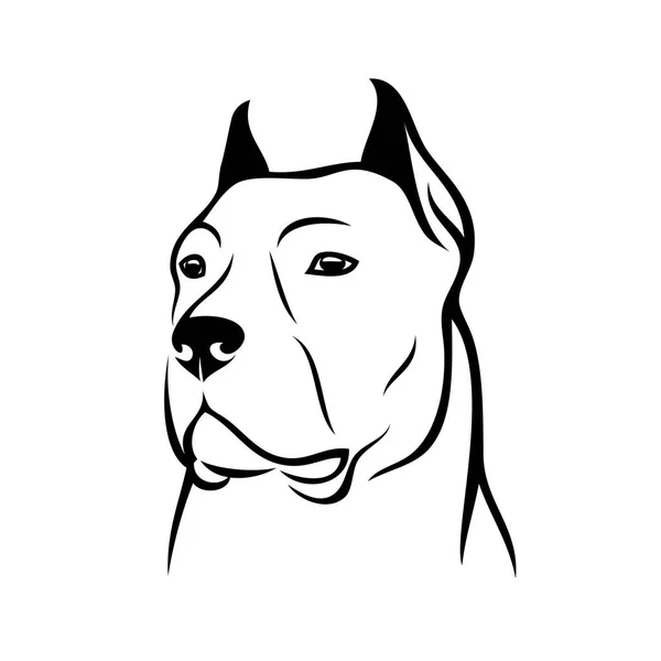 Cane Corso Hond Geïsoleerde Vectorillustratie — Stockvector