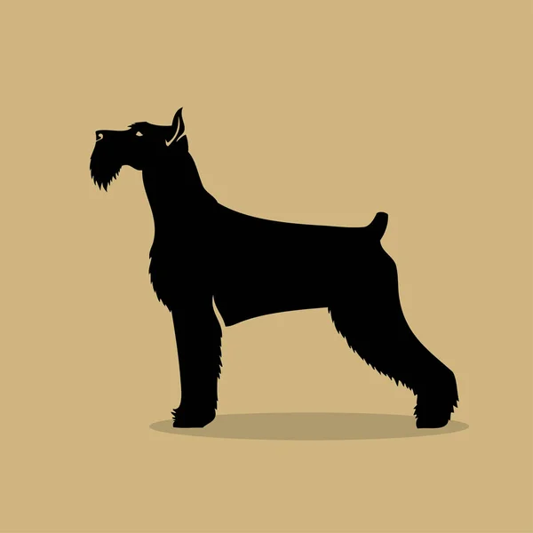 Ilustracja Wektorowa Airedale Terrier Pies Bingley Białym Tle — Wektor stockowy