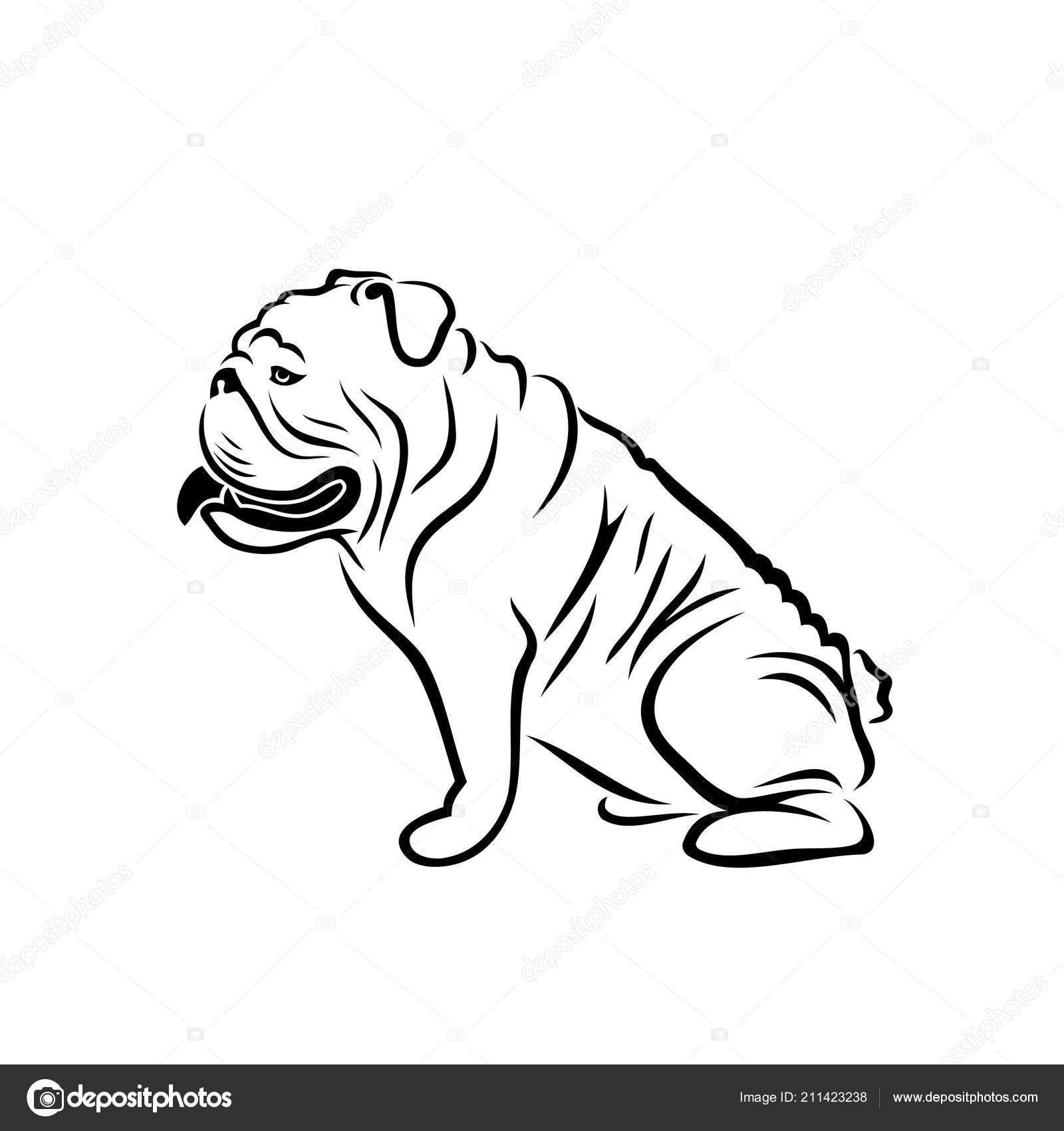 English Bulldog Isolated Outlined Vector Illustration Stock Vector by  ©I.Petrovic 211423238, image size:1600x1700