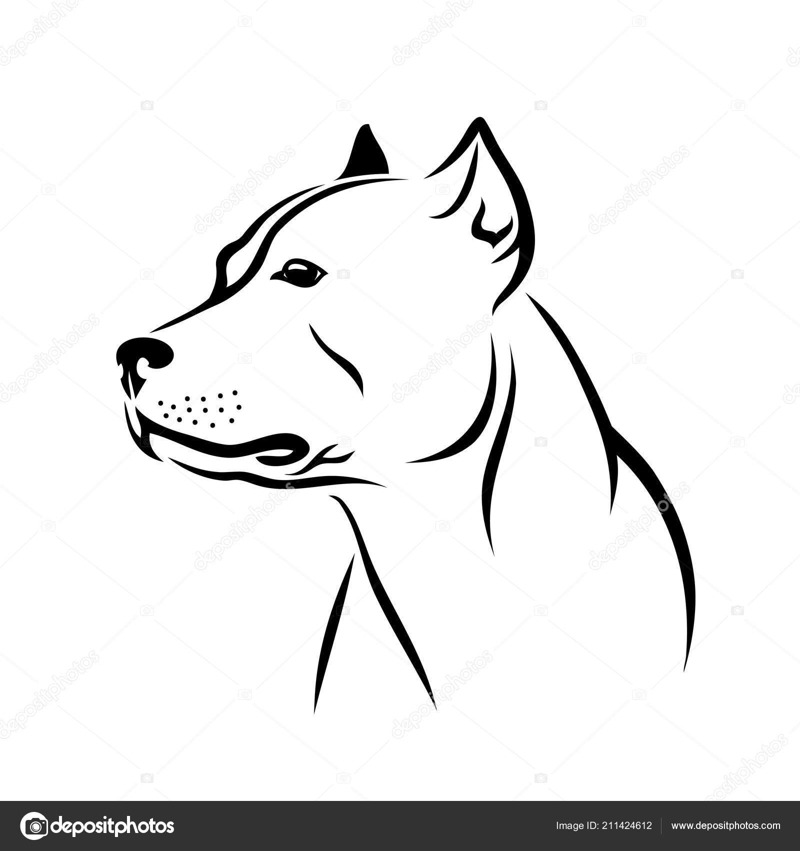 Dibujo pitbull imágenes de stock de arte vectorial | Depositphotos