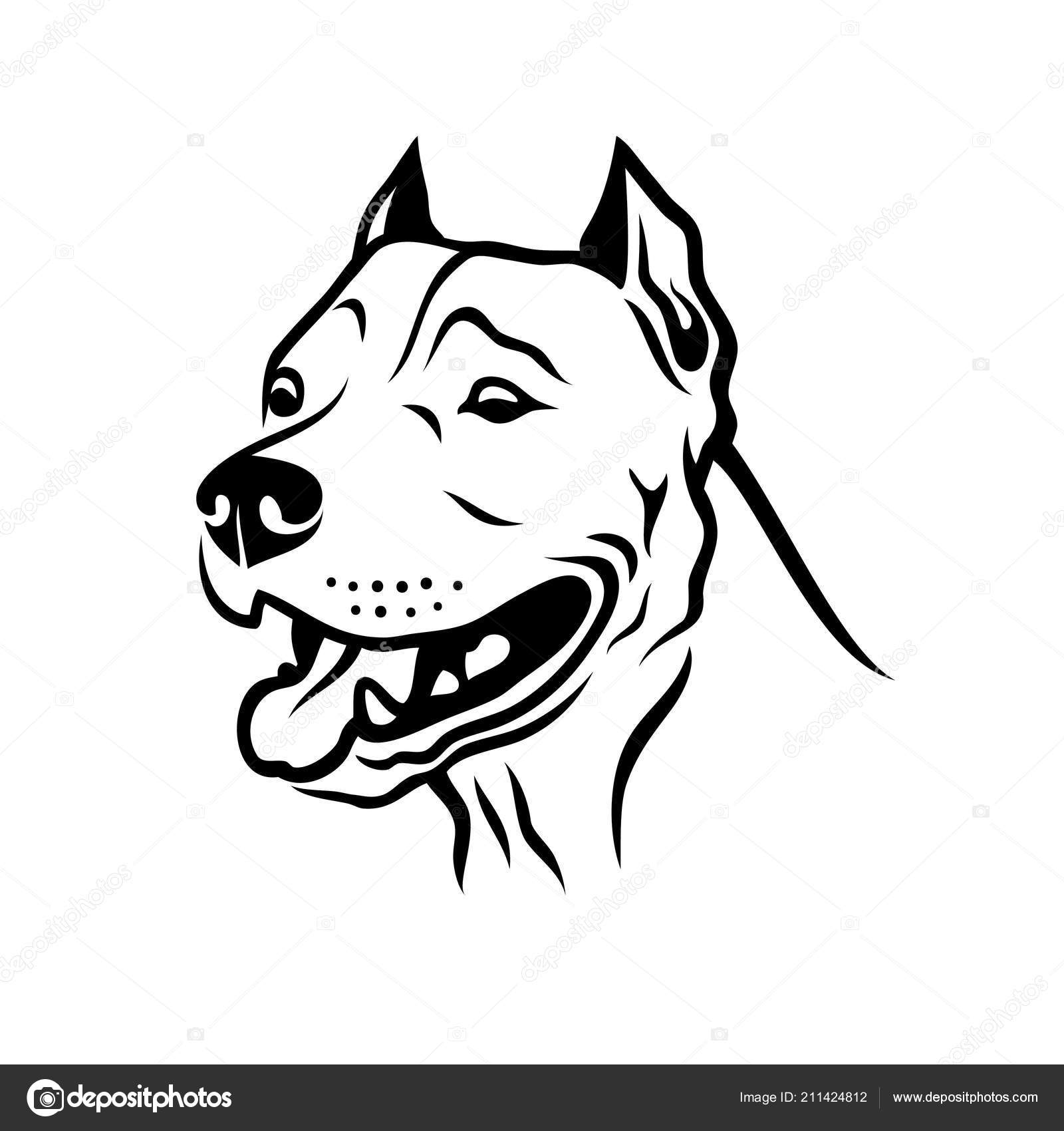 american pitbull terrier dog american pitbull terrier dog