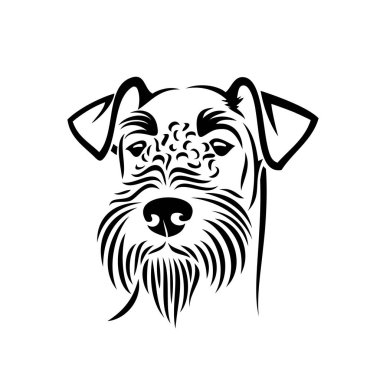 Dev Schnauzer - izole vektör çizim