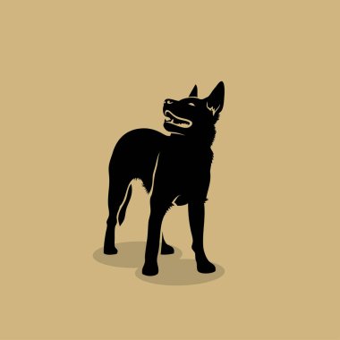 Avustralyalı büyükbaş hayvan köpek - vektör çizim