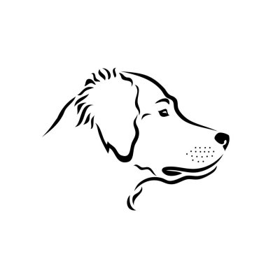 Golden Retriever köpek - izole vektör çizim