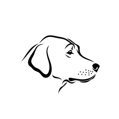 Labrador retriever köpek - vektör çizim