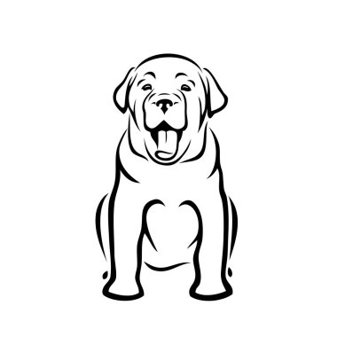 Labrador retriever köpek yavrusu - vektör çizim