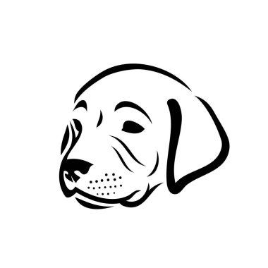 Labrador retriever köpek yavrusu - vektör çizim