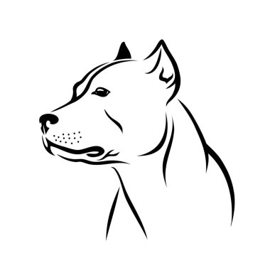 Amerikan Pitbull Terrier köpeği - izole vektör çizimi