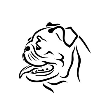 İngilizce bulldog yüz - izole vektör çizim özetlenen
