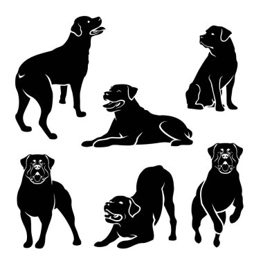 Rottweiler köpek silhouettes - izole vektör çizim seti
