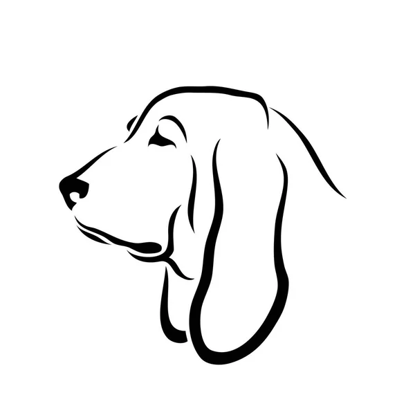 Basset Λαγωνικός Σκύλος Απομονωμένη Εικονογράφηση Διάνυσμα — Διανυσματικό Αρχείο