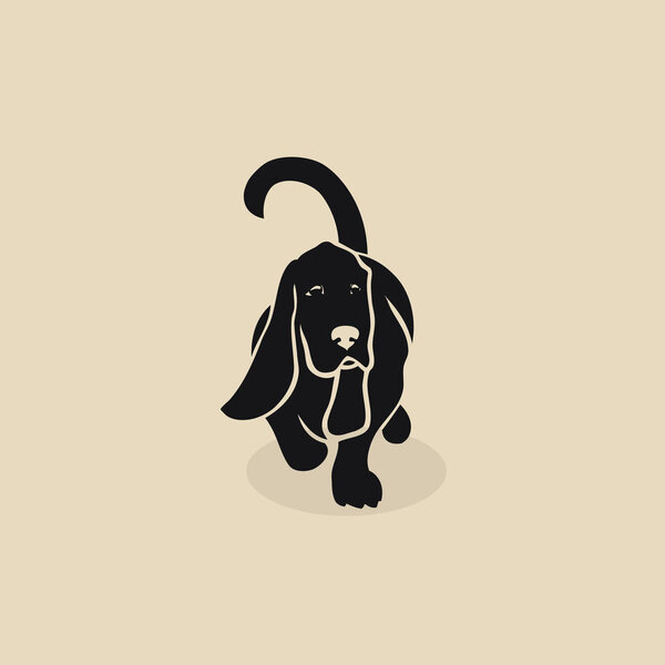Basset hound dog - isolated vector illustration
