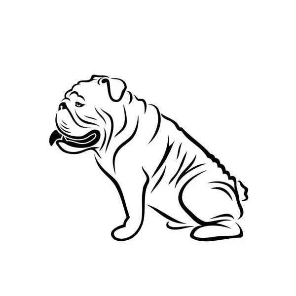 English Bulldog Isolated Outlined Vector Illustration — Stock Vector