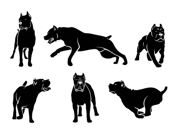 Set Cane Corso Dog Silhouettes Isolated Vector Illustration — Stock Vector