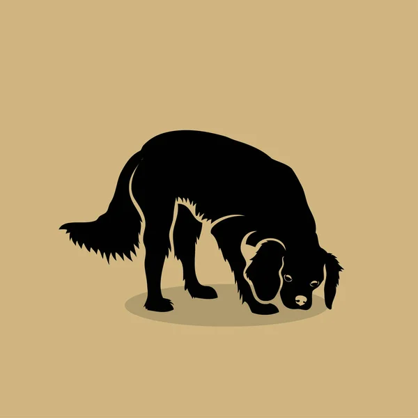 Cavalier King Charles Spaniel Pies Ilustracja Białym Tle Wektor — Wektor stockowy