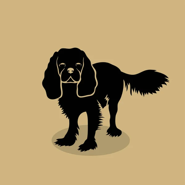 Cavalier King Charles Spaniel Hund Isolerade Vektorillustration — Stock vektor