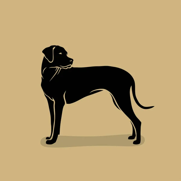 Hond Van Amerikaanse Terriër Van Stier Van Kuil Geïsoleerde Vectorillustratie — Stockvector