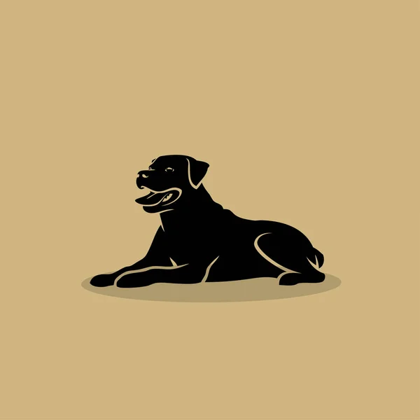 Rottweiler Köpek Izole Vektör Çizim — Stok Vektör